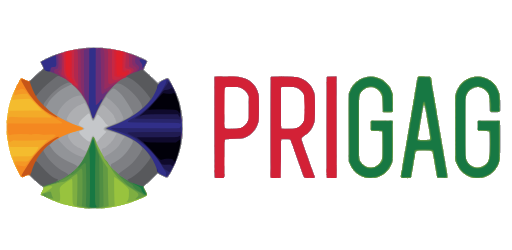 PRIGAG ONLINE PRIVATE LIMITED